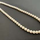 パールネックレス　お買取りです